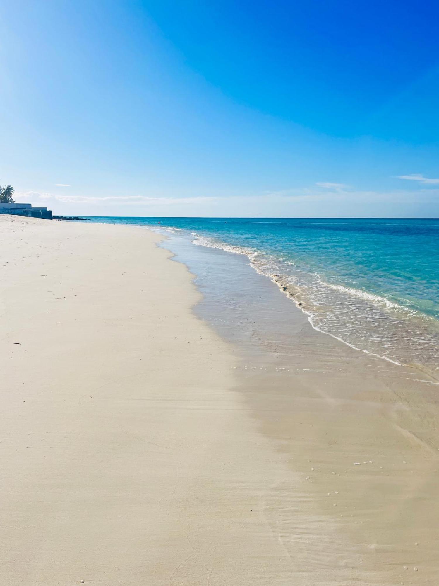 Studio, 100 Feet From The Beach ナッソー エクステリア 写真